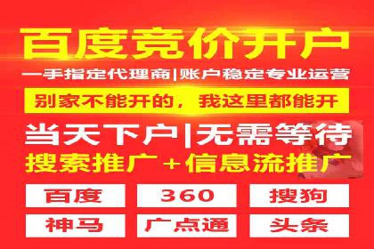 深入剖析SEM公司成功案例：数据驱动的广告策略